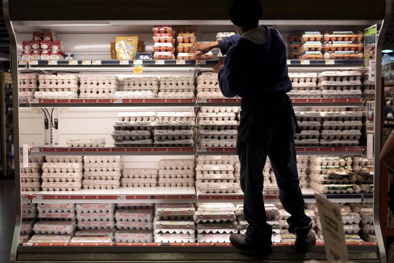 A person standing in front of a shelf of eggs
Description automatically generated
